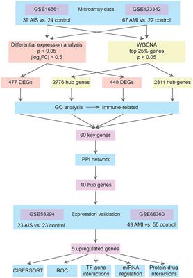 Identification of immune-related biomarkers co-occurring in acute ischemic stroke and acute myocardial infarction